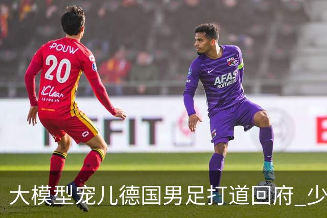 大模型宠儿德国男足打道回府 少了人性观察数据等于废纸